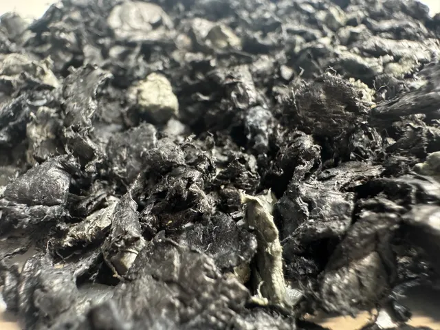 Matière plastique broyée issue de l'extrusion LDPE