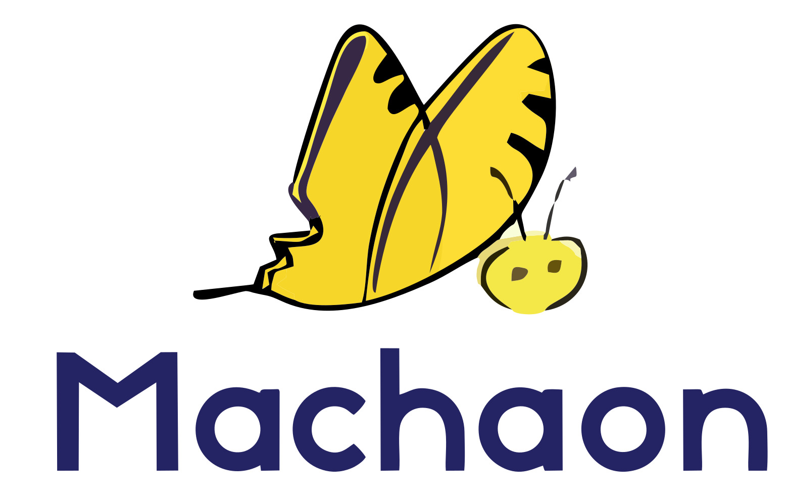 Machaon — Fabricant de granulés LDPE recyclés